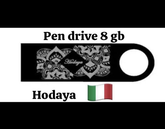 Chiavetta usb HODAYA in metallo 8GB pen drive pendrive memoria usb stick